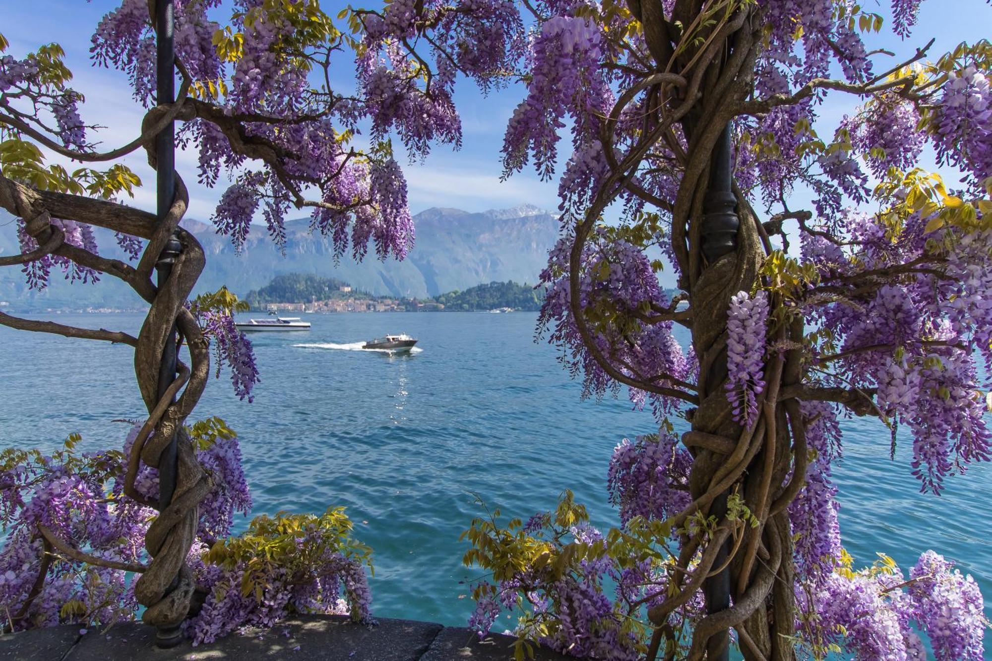 Il Panorama Di Forster Appartement Menaggio Buitenkant foto